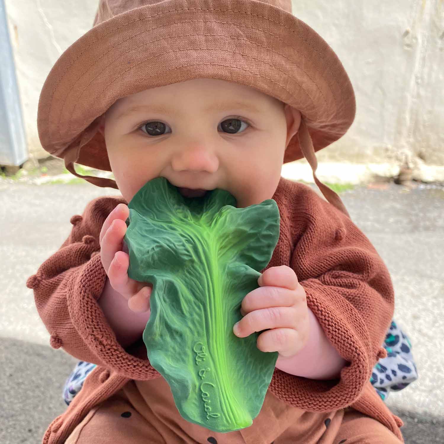 Anneau Dentition Kendall the Kale – Image 2