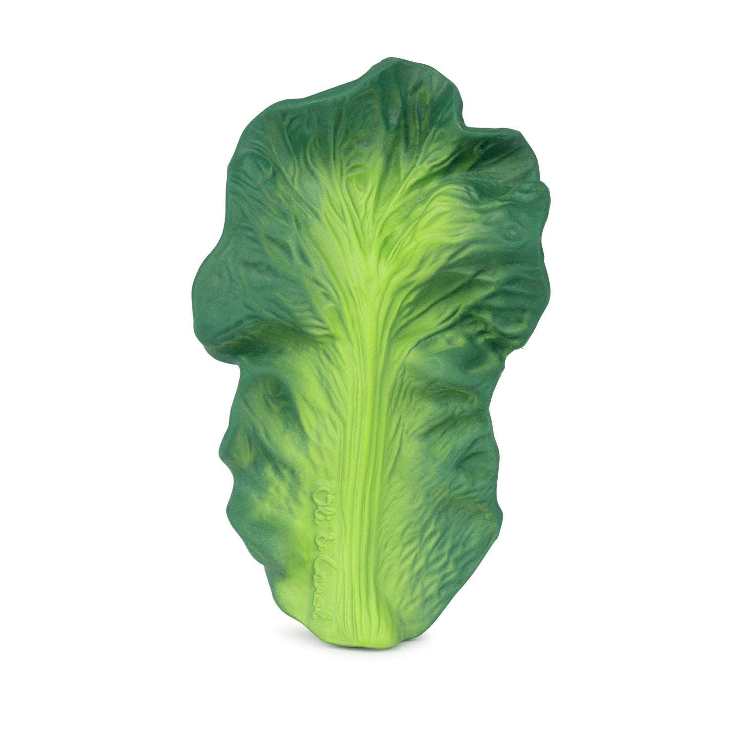 Anneau Dentition Kendall the Kale