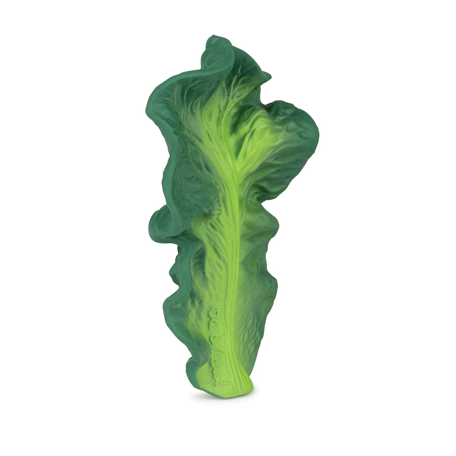 Anneau Dentition Kendall the Kale – Image 5