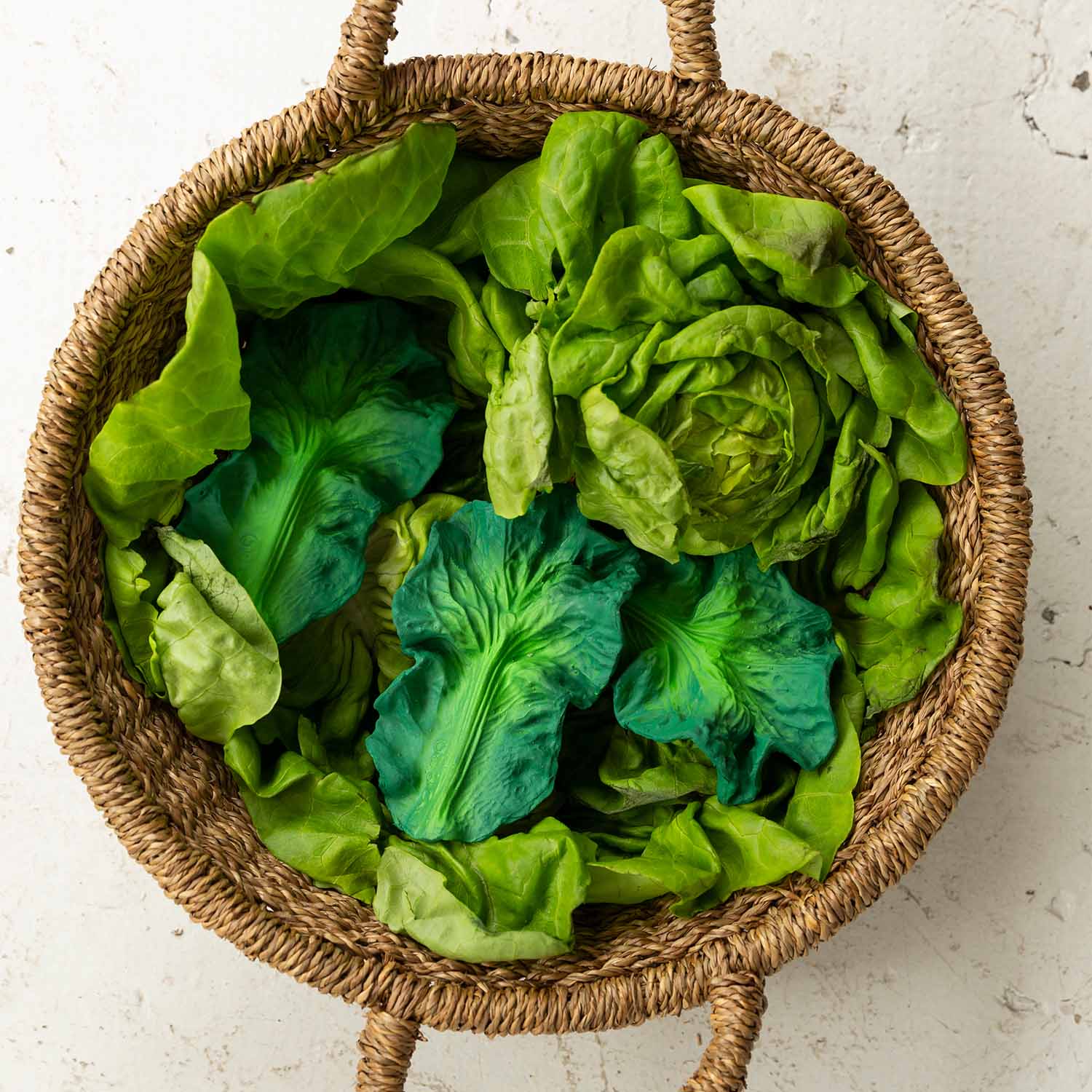 Anneau Dentition Kendall the Kale – Image 3
